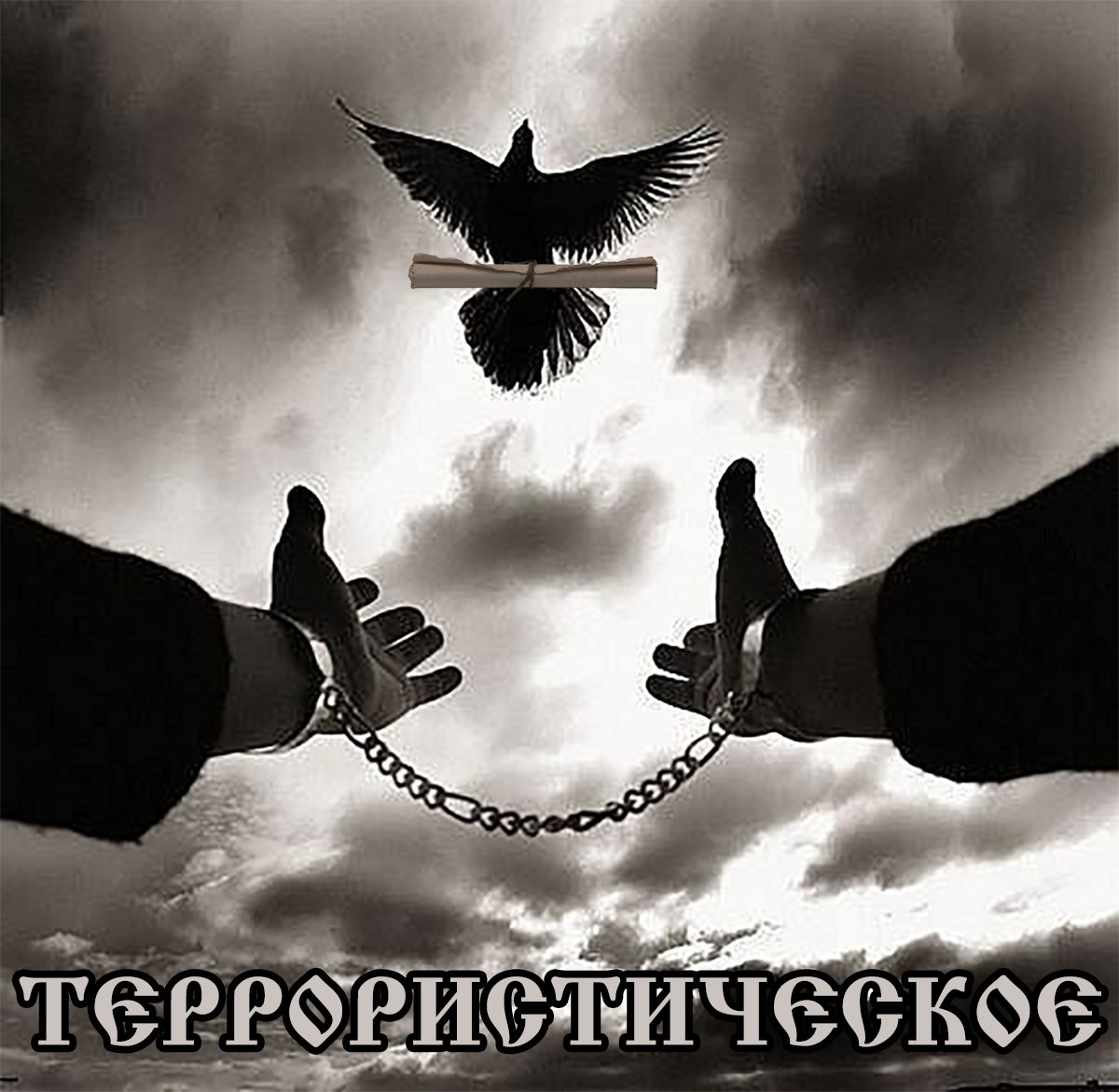 В Индии поймали голубя который нёс записку с пропакистанскими лозунгами и угрозой взорвать вокзал Террориста задержали и изучают По мнению индийских силовиков голубь мог быть специально обучен в Пакистане и выпущен через границу а угроза может быть реальной А что ещё случилось