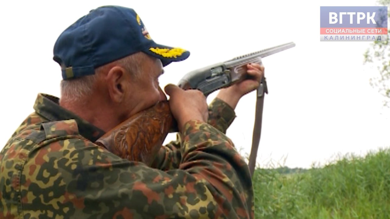 В Славском районе мужчина незаконно охотился на лося В отделение полиции поступило заявление от егеря Мужчина сообщил что на территории охотничьего угодья Тильзитское недалеко от пос Ржевское им были обнаружены останки убитого лося На место происшествия незамедлительно выехала следственно оперативная группа Как установили полицейские к незаконной охоте причастен 53 летний местный житель В ходе обыска по месту жительства подозреваемого было обнаружено и изъято 2 карабина ружье с оптическим прицелом 244 патрона 2 магазина нож автомобиль и более 100 килограммов лосятины Документы на огнестрельное оружие у мужчины имелись однако разрешения на добычу животного не было  В отношении подозреваемого возбуждено уголовное дело по статье Незаконная охота Наказание предусматривает лишение свободы на срок до 2 лет Источник УМВД России по Калининградской области