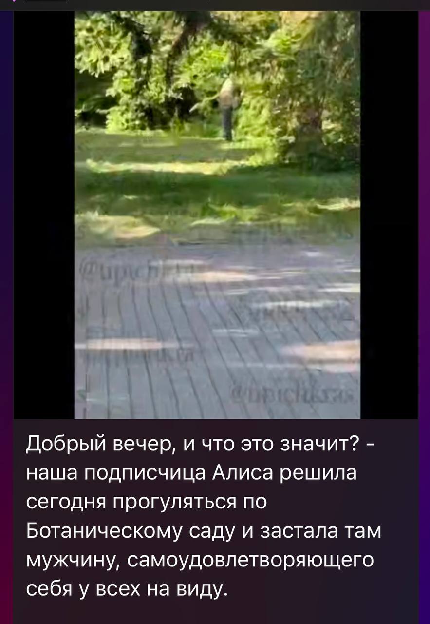 На основании выявленной в сети Интернет публикации полицией Краснодара инициировано проведение проверки.    В ходе разбирательства будут установлены все обстоятельства инцидента, а также личность мужчины. Его действиям будет дана правовая оценка.    ‍  Пресс-служба Управления МВД России по городу Краснодару