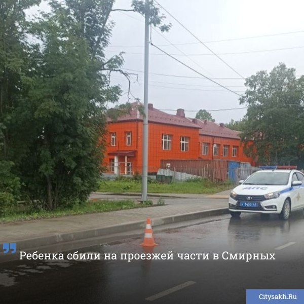Серьезное дорожно-транспортное происшествие случилось 7 августа в поселке Смирных, где пострадал восьмилетний мальчик.