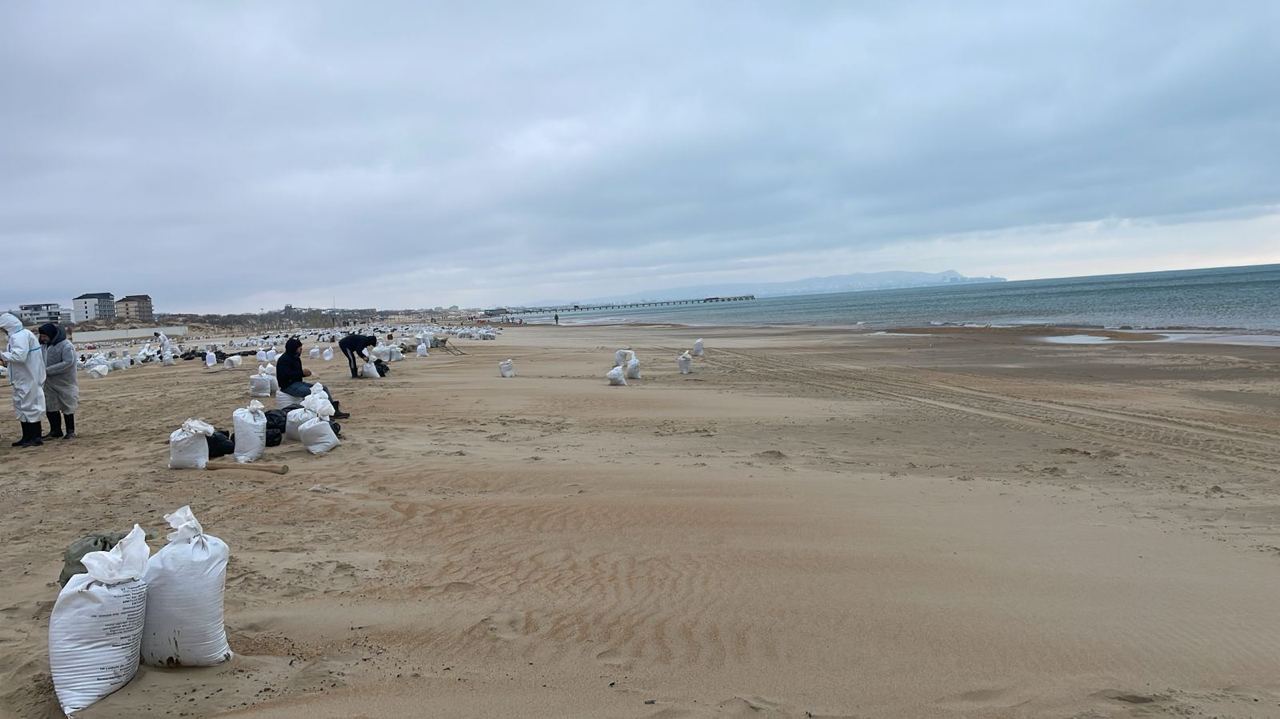 Глава Росприроднадзора пляжи Анапы пока открывать нельзя Содержание нефтепродуктов в песке на пляжах Анапы не позволяет в настоящее время разрешить отдых детей Делается очень многое для того чтобы очистить прекрасные белые пляжи песка в Анапе пока результат есть но он недостаточен чтобы в сегодняшнем дне открывать пляжи Но время еще есть до курортного сезона и я уверена что решения которые уже приняты будут реализованы и возможность пляжного отдыха будет К сожалению содержание нефтепродуктов в песке пляжа настолько высоко что разрешить там отдых детей на данный момент нельзя заявила глава Росприроднадзора Анна Попова