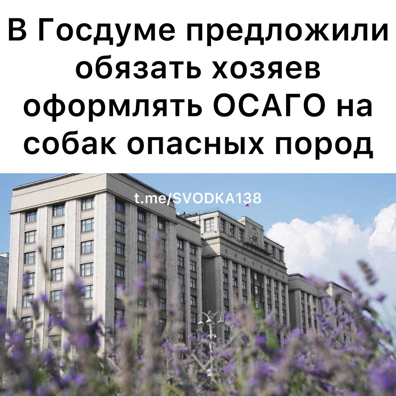 В Госдуме разработали законопроект согласно которому владельцы собак опасных пород будут обязаны оформлять ОСАГО на своих питомцев Об этом Известиям сообщил депутат ЛДПР Дмитрий Новиков Зачастую владельцы агрессивных псов своей вины не признают и пострадавшему потом сложно доказать факт нападения а уж получить материальную компенсацию на лечение или восстановление тем более указал Новиков Благодаря инициативе если животное опасной породы нападет на человека то страховая компания должны будет выплатить жертве 1 миллион рублей Если же собака испортит имущество компенсация составит 200 тысяч рублей Законопроект не станет распространяться на служебных собак которые выполняют задачи в государственных органах В перечень потенциально опасных собак который был утвержден в 2019 году входят 12 пород включая питбульмастифов амбульдогов акбашей бразильских бульдогов а также их метисов Ранее сообщалось что огромный алабай выскочил за забор участка и напал на жительницу Ростова на Дону разодрав ей лицо и руки Связаться с нами  Сообщить о ДТП Розыск очевидцев ДТП Подписаться SVODKA138 Подписаться SVODKA138 Интеграция Telega in MAX канал SVODKA138