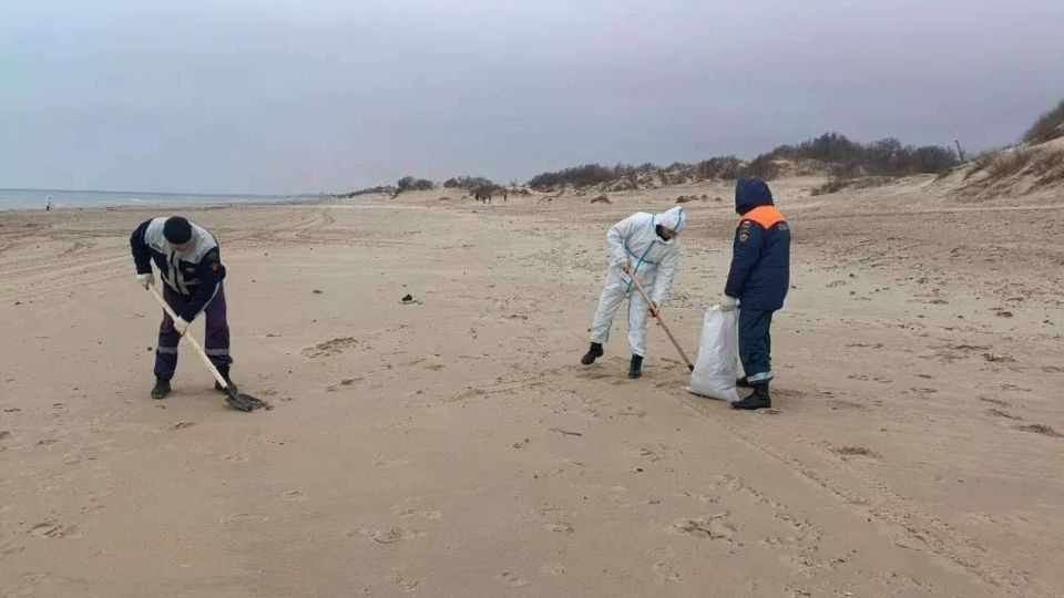 На Кубани шторм выбросил на побережье мазут СИМФЕРОПОЛЬ 21 фев РИА Новости Крым В Анапе и Темрюкском районе Краснодарского края из за шторма на побережье выбросило прошлогодний мазут попавший в море с потерпевших крушение в Керченском проливе танкеров Волонтеры и спасатели ведут уборку Об этом сообщает оперативный штаб Кубани В Анапе убирают старые выбросы мазута которые подняло со дна прибрежной части моря сильным штормом Их обнаружили во время ежедневного мониторинга береговой полосы на трех участках от центрального пляжа Анапы до пляжа Тортуга села Витязево сказано в сообщении Отмечается что к уборке привлечены силы МЧС а также специалисты Кубань СПАС представители администрации Анапы и жители курорта которые в течение субботнего дня уже собра Подробнее