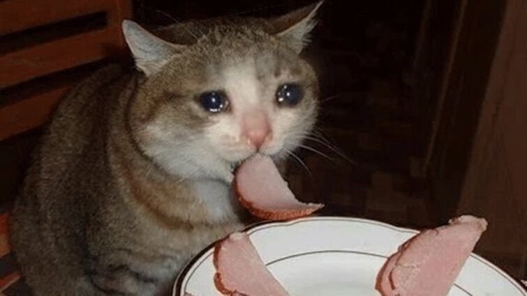 Колбаса перед Новым годом подорожает на 5 10 В течение текущего года колбасная продукция дорожала из за общей продовольственной инфляции К новогоднему периоду также ожидается повышение цен в среднем на 5 10 в сравнении с началом года Это не ситуативное подорожание а продолжение уже сформировавшейся в этом году тенденции вызванной высокой стоимостью сырья тарифной нагрузкой и логистическими издержками Рост цен на мясо наблюдавшийся весь год стал ключевым фактором повышения себестоимости колбасных изделий Средняя цена свинины за год увеличилась на 12 15 говядины на 10 14 а мясо птицы подорожало примерно на 8 Уже закупаетесь продуктами к Новому году россия общество экономика