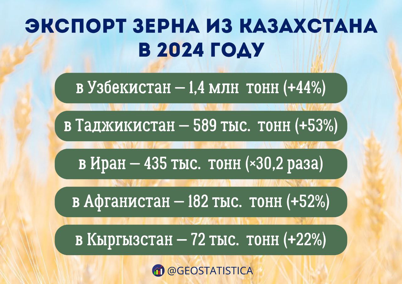 На 54% больше зерна нового урожая экспортировал Казахстан в 2024 году   3,7 млн тонн составил экспорт в 2024 году против 2,3 млн тонн годом ранее. Рост экспорта отмечают Узбекистан, Таджикистан, Афганистан, Кыргызстан. А экспорт в Иран вырос в 30,2 раза, с 14 тысяч до 435 тысяч тонн, отметили в Минсельхозе. Напомним, что в 2024 году Казахстан собрал рекордный урожай зерновых - 26,6 млн тонн.