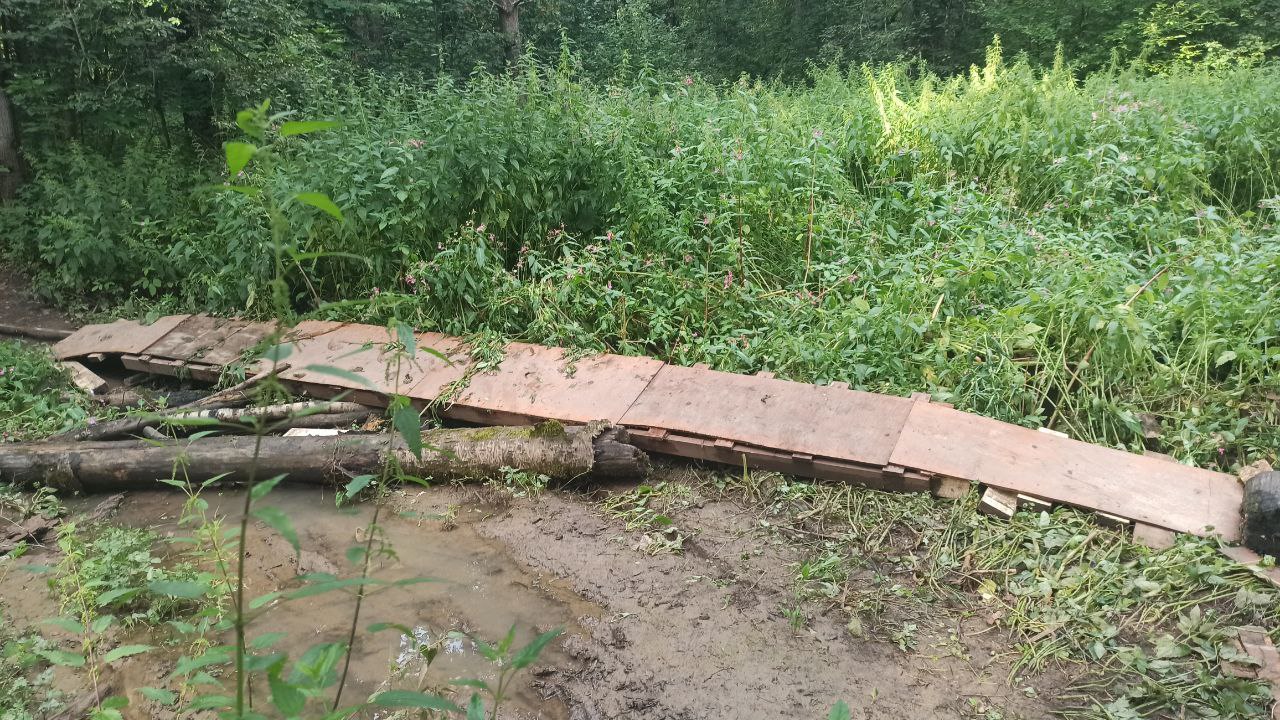 Ильинскую рощу залило водой из очистных сооружений ПИКа Подписчики сообщают о состоянии рощи между Ильинским и Глухово: 23 июля, после проливных дождей, жители проинспектировали состояние Ильинской рощи. Обнанружено, что с очистных сооружений ПИКа был произведён огромный сброс воды. Силой потока было сдвинуто бревно, служившее народу переправой и это бревно снесло вторую самодельную переправу. Вместе с незаконными стоками от ЖК «Рублёвское предместье» и ЖК «Новая Рига» общий сточный ручей по водопропускной трубе перебрался через Ильинское шоссе и находится в опасной близости от Ильинской поймы. Непонятно, почему имея законную точку слива в р. Липка по собственному коллектору, ГК ПИК упорно продолжает затапливать Ильинскую рощу?