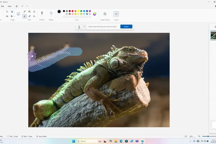 Microsoft Paint получает функции генеративного ИИ-заполнения и стирания, подобные Photoshop  В Paint добавлены инструменты Generative Fill и Generative Erase: первый позволяет добавлять ИИ-сгенерированные объекты, используя текстовое описание, а второй — удалять нежелательные элементы.  Оба инструмента работают с регулируемыми кистями, а также обновлен инструмент Cocreator для генерации изображений.   ================