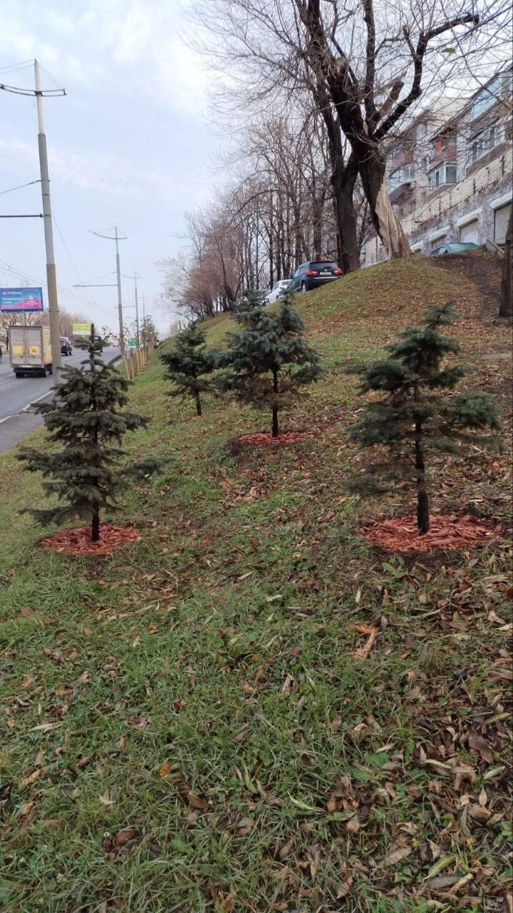 Более 9 тысяч растений высадили в этом году   С начала года сотрудники предприятия высаживают новые растения, а также ухаживают за имеющимися   Так, в этом году в городе появилось 9 172 растений, из которых 707 деревьев хвойных пород и 198 деревьев лиственных пород, а также около 8 тыс. кустарников лиственных и хвойных пород, многолетних цветов и лианы.   Улицы города украсили деревья бархата амурского, ясеня маньчжурского, абрикоса, яблонь, нескольких видов кленов, сосны густоцветковой, а также различные кустарники :дерен белый, форзиция, пузыреплодник калинолистный, кизильник блестящий, спирея, сирень, рододендроны и многие другие.   При посадке деревьев и кустарников специалисты уделяют внимание освещенности участка, ветровой нагрузке и влажности почвы, а также учитывают близость к дороге, коммуникациям и другие особенности территории.   Работы будут продолжены до установления стабильных отрицательных температур воздуха и промерзания почвы.