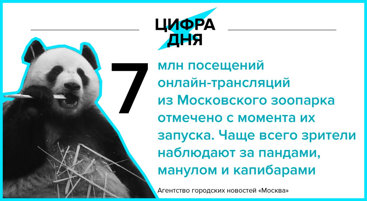 Цифра дня 30 июля: 7 млн посещений онлайн-трансляций из Московского зоопарка отмечено с момента их запуска. «Москва»