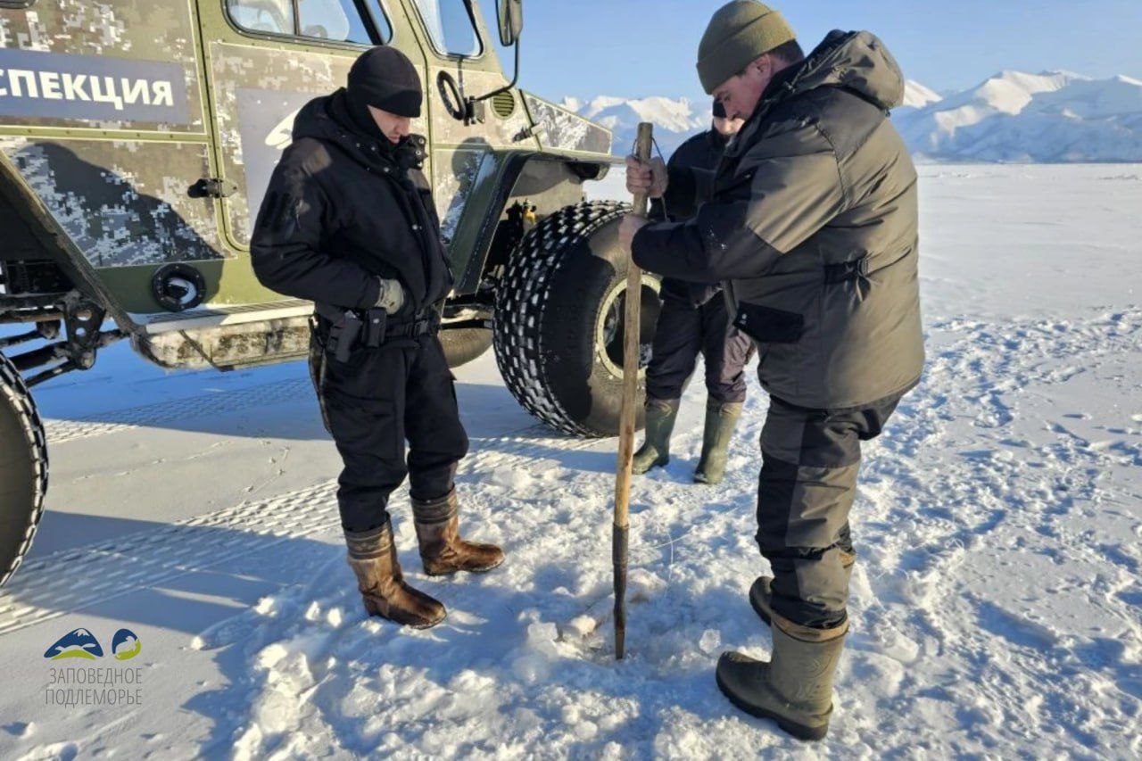 Пойманным ловцам омуля в Бурятии грозит до двух лет лишения свободы В январе 2026 года в акватории Баргузинского и Чивыркуйского заливов озера Байкал проводились рейды госинспекторов по охране природы и транспортной полиции Выявили два случая незаконной добычей омуля Полиция изъяла две рыболовные сети длиной 200 метров а также 86 хвостов омуля у преступников Все материалы передадут в правоохранительные органы Читайте нас в МАХ