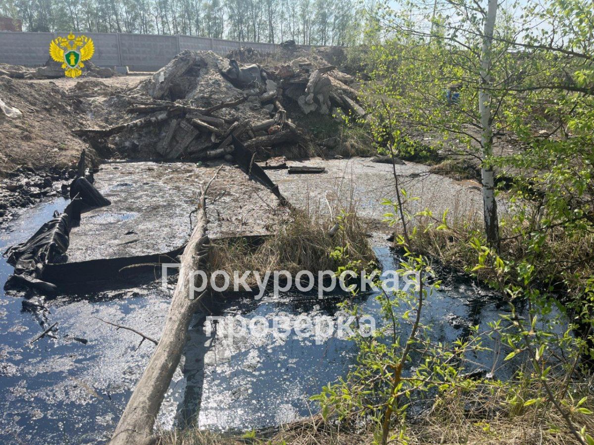 В Тульской области в резервуаре с битумом нашли собак О животных, залитых смолой, очевидцы сообщили в социальных сетях. В посте отмечено, что собаки в ошейниках, скорее всего находятся в заточении не один день. Подробнее Подписаться