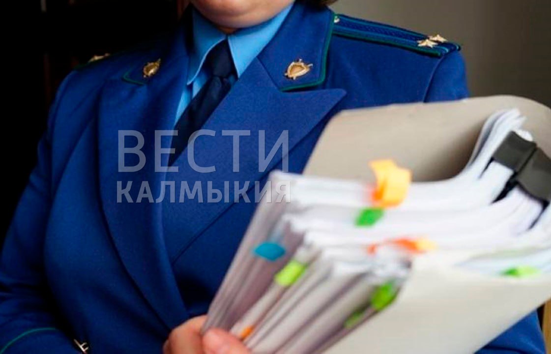 В Калмыкии по материалам прокурорской проверки возбуждено уголовное дело по факту невыплаты заработной платы.  Установлено, что директор ООО «Строй Юг» с февраля по апрель 2025 года не выплатил заработную плату двум работникам. Задолженность составила 420 тыс. рублей.В отношении бывшего директора коммерческой организации возбуждено уголовное дело. Прокуратура города в интересах двух работников направила исковые заявления о взыскании задолженности по заработной плате и компенсации за нарушение сроков ее выплаты в размере 44,5 тыс. рублей.  Быть в курсе   Прислать новость  Также подписывайтесь на главный новостной канал ВГТРК в MAX – «Вести»