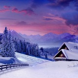 Аватар Телеграм канала: Сибиряк