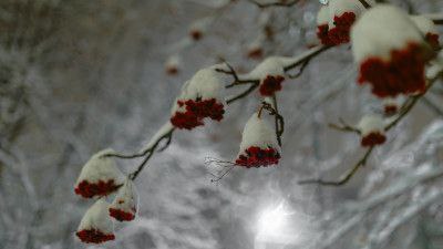 Уличное освещение между Мишуково и Снежногорском установили но результат нулевой из за морозов Северяне обратились в очередной раз в соцсети губернатора Мурманской области с вопросом об освещении автодороги между Мишуково и Снежногорском Свет так и не появился в запланированные сроки оставляя участок пути автомобилистов аварийно опасным Скажите пожалуйста когда появится уличное освещение на автодороге Мишуково Снежногорск Прошло уже пол года как установили фонари а в итоге результат нулевой поинстересовался северянин Илья Танков В ответе Мурманскавтодора обозначили 2 локации работы специалистов а также причину почему не начали действовать аномальные морозы На автомобильной дороге Мишуково Снежногорск было запланировано к освещению два участка дороги первый участок км 1 403 км 2 663 второй участок км 5 679 км 6 679 В настоящее время все строительно монтажные работы по устройству освещения выполнены сначала уточнили в сообщении Также известно что на одном из участков рабочие не вышли на работы в рамках просроченного проекта из за низких температур Хотя точку подключения электросети подрядчик предоставил На первом участке строительные работы завершены однако освещение пока отсутствует Причина заключается в том что поставщик электроэнергии ещё не предоставил точку подключения для подачи электричества Сейчас специалисты Оборонэнерго ждут поставки необходимого оборудования пояснили в Мурманскавтодоре по поводу второй локации будущего освещения автодороги Свет появится лишь тогда когда оборудование поступит на объект и будут проведены соответствующие электромонтажные работы противоречиво пообещали дорожники А вдруг морозы Северянин справедливо поинтересовался на счет сроков поставки оборудования и ответственности за сдвинутые сроки работ Но ответа пока не получил