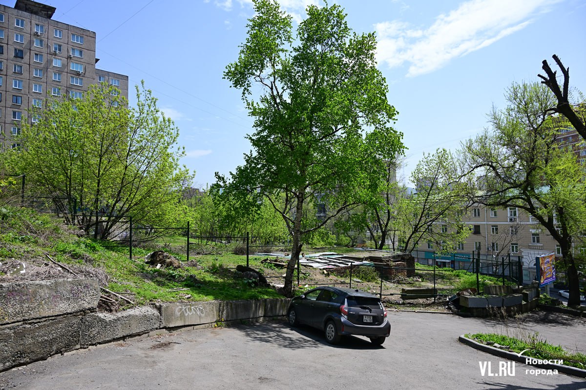 Во Владивостоке застройщик снова взялся за спорный участок на Океанском проспекте 8 лет назад жители остановили 25-этажную «свечку» на крошечном пятачке у дома 85а на Океанском проспекте. Тогда власти перевели землю в рекреационную зону, но сейчас участок обнесли забором и начали вырубку 108 деревьев. Застройщик — компания «Порто-Франко 70» с вьетнамскими связями — ранее выиграл суды против мэрии и даже взыскал с города 124 тыс. рублей за убытки. Хотя разрешения на строительство нет, местные опасаются, что рубка — первый шаг к возобновлению стройки. Участок с 1990-х переходил от церкви к катку, потом к парковке, а в 2017-м стал яблоком раздора. Власти пока молчат, а жители надеются на сквер — но деревья уже падают под пилами.