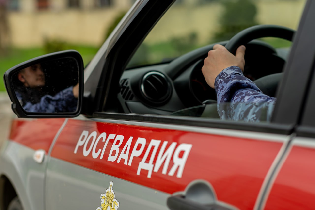 В Краснодаре сотрудники Росгвардии задержали мужчину, находящегося в федеральном розыске 27-летний местный житель, условно осужденный за незаконный оборот наркотиков, нарушил испытательный срок и не встал на учет. Наряд вневедомственной охраны на улице Тахтамукайской краевого центра обратил внимание на подозрительного прохожего. Молодой человек при виде правоохранителей занервничал и попытался скрыться. При проверке по базе данных выяснилось, что он разыскивается Главным управлением Федеральной службы исполнения наказания Краснодарского края. Росгвардейцы передали нарушителя для дальнейшего разбирательства сотрудникам полиции. #Росгвардия #Кубань #Краснодар