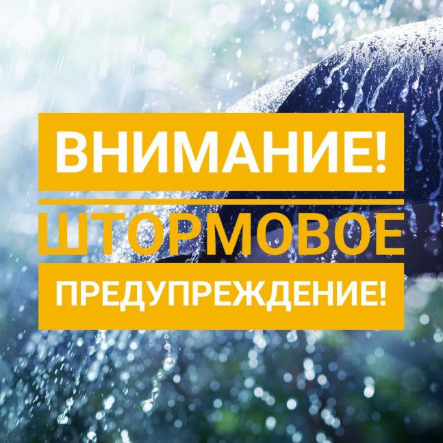 Штормовое предупреждение объявлено в Приморье! В связи с обострением фронтальных разделов над территорией Приморского края в ночные и утренние часы 21 июня ожидаются дожди, местами сильные — с количеством осадков 15–45 мм за 12 часов и менее. В восточной половине края локально возможны очень сильные дожди — 50 мм и более за тот же период. Общее количество осадков на востоке может составить 60–100 мм. Ожидаются грозы. На побережье — усиление ветра до 15–20 м/с. На реках края прогнозируется формирование быстроразвивающегося дождевого паводка. Возможны резкие и интенсивные подъёмы уровней воды: — на малых реках восточного побережья — на 1,2–2,0 м, — в верховьях рек Уссури и Большая Уссурка — на 0,5–1,2 м, с подтоплением прилегающих территорий дождевым и речным стоком. На остальных реках края ожидаются подъёмы уровней воды на 0,2–0,9 м. Наиболее паводкоопасные районы: Шкотовский, Партизанский, Чугуевский, Ольгинский, Кавалеровский, Дальнегорский. Источник - Примгидромет.