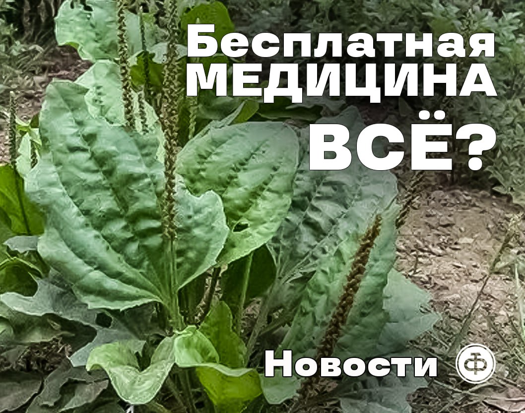 Ликвидация оптимизация бесплатной медицины С 1 сентября в России вводится новый порядок допуска среднего медперсонала к врачебной практике При отсутствии в медицинском учреждении врачей их заменят фельдшеры и акушерки Они смогут работать терапевтами педиатрами и акушерами гинекологами Депутат ГД Татьяна Фролова член комитета по охране здоровья уточнила что решение распространяется только на сферу первичной и экстренной медицинской помощи А для последующего лечения россиянам вероятно придётся обращаться к платной медицине где врачи пока есть Или довольствоваться подорожником Власти можно понять Несмотря на повышение окладов врачей почему то остро не хватает особенно в регионах Какие перспективы у нашей бесплатной медицины Ведь проблема дефицита среднего медперсонала тоже есть Как думаете когда функции фельдшеров и акушерок начнут исполнять традиционные шаманы и бабки повитухи Подписывайтесь на РТФ новости