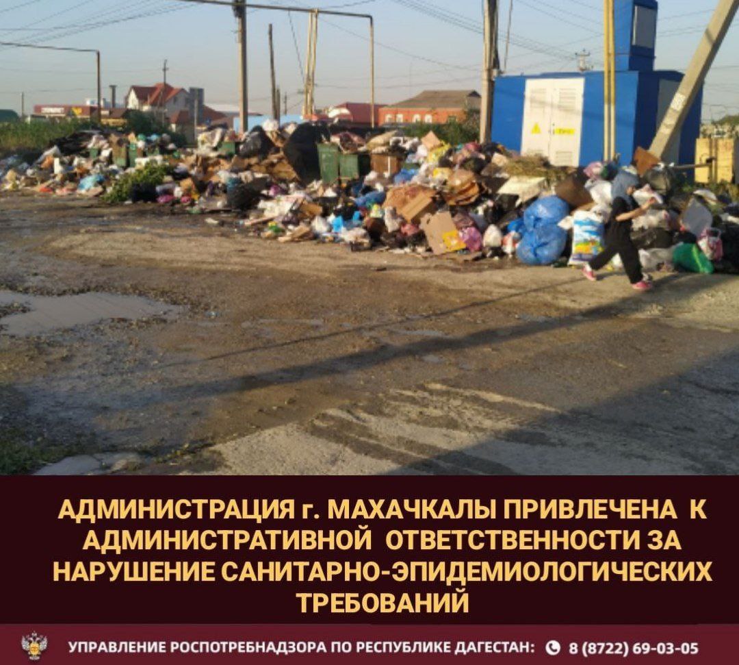 По результатам рассмотрения жалоб граждан, проживающих по адресу: г. Махачкала, пгт. Семендер, ул. Казбекова, д. 117, проведено санитарно-гигиеническое обследование территории. В ходе обследования установлено, что размещение контейнерной площадки, предназначенной для сбора твердых коммунальных отходов, осуществляется на расстоянии 12 метров от жилого дома, расположенного по адресу: г. Махачкала, пгт. Семендер, ул. Альбуркентская, пересечение с пр. Казбекова, д. 117. Обследованием зафиксировано наличие бытового мусора, разбросанного вокруг контейнеров, а также факт нахождения на территории домашнего скота. В связи с выявленными нарушениями санитарно-эпидемиологических требований в адрес Администрации г. Махачкалы было выдано предписание о проведении дополнительных санитарно-противоэпидемических профилактических мероприятий с целью устранения выявленных нарушений. По причине неисполнения предписания в установленный срок в отношении Администрации г. Махачкалы был составлен протокол об административном правонарушении, предусмотренном ч. 1 ст. 19.5 КоАП РФ. Материалы дела направлены в Мировой суд Советского района г. Махачкалы, которым вынесено постановление о привлечении Администрации г. Махачкалы к административной ответственности в виде штрафа в размере 10 000 рублей.