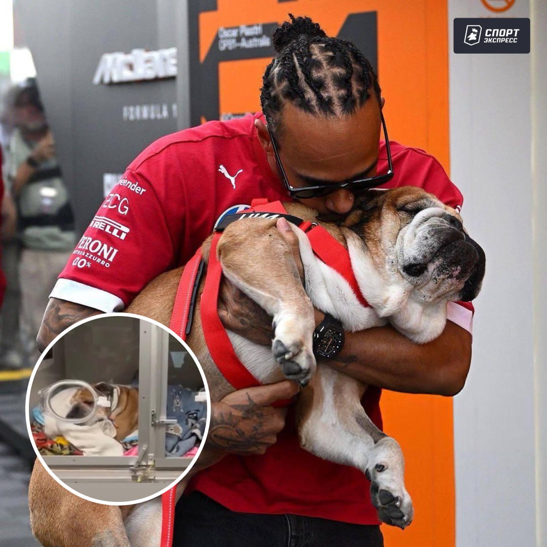 Душераздирающее из мира Формулы 1 Льюс Хэмилтон покинул расположение Ferrari из за болезни собаки Его бульдогу Роско 13 лет недавно он повторно заболел пневмонией и попал к ветеринарам Сердце малыша остановилось прямо во время обследования Его удалось реанимировать но теперь Роско находится в коме Неизвестно сможет ли он прийти в сознание Льюс в соцсетях сообщил что находится рядом с питомцем и попросил помолиться за его здоровье   Подписывайся на СЭ в MAX