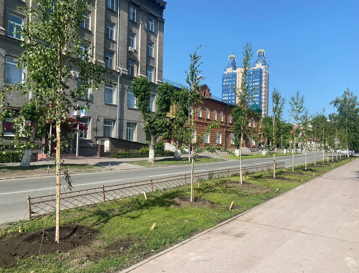 На улице Свердлова высадили 22 берёзы Кроме того, крупномерными деревьями заменят саженцы, которые ранее высадили вдоль улицы по частной инициативе, но они не прижились. Такое поручение дал мэр Новосибирска. В ходе аппаратного совещания Максим Кудрявцев подчеркнул, что прикладывается много усилий для благоустройства города. В этом году запланировано масштабное озеленение в разных районах, ежегодно муниципалитет будет высаживать не менее 10 тысяч деревьев и кустарников. Отдельно глава города отметил, что в работе по озеленению участвуют социально ответственный бизнес, волонтёры, неравнодушные граждане. Однако, на улице Свердлова, где застройщик высадил деревья по своей инициативе, саженцы засохли из-за отсутствия полноценного ухода. «В любом случае застройщику спасибо. Но сейчас нужно засохшие деревья демонтировать, посадить новые, чтобы эта инициатива не потерялась. Необходимо более чётко выстроить процессы по взаимодействию с горожанами, компаниями. Чтобы с одной стороны, люди понимали, куда обращаться и как организованы эти процессы. С другой стороны, важно технологически оказывать помощь по дальнейшему содержанию», – подытожил мэр и поручил до конца летнего сезона высадить крупномерные саженцы на ул. Свердлова и обеспечить за ними уход. Как доложила заместитель мэра – начальник департамента культуры, спорта и молодёжной политики Ксения Антонова, такое решение уже принято после обследования засохших деревьев. Кроме того, силами МАУ «Горзеленхоз» проведена работа по озеленению чётной стороны ул. Свердлова – высажено 22 берёзы. На нечётной стороне аварийные деревья также будут заменены.