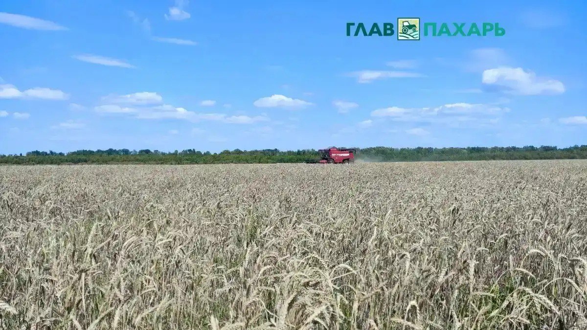 Правительство РФ утвердило постановление об обязательном подключении всех гражданских БПЛА к ЭРА ГЛОНАСС Правительство России утвердило обязательное подключение гражданских беспилотников к системе ЭРА ГЛОНАСС с 1 марта 2026 года Это позволит отслеживать полеты дронов и обеспечит прозрачность их использования Система уже применяется для беспилотных грузовиков на автомагистралях а её внедрение для воздушных дронов завершит создание единой платформы мониторинга Подробнее читайте