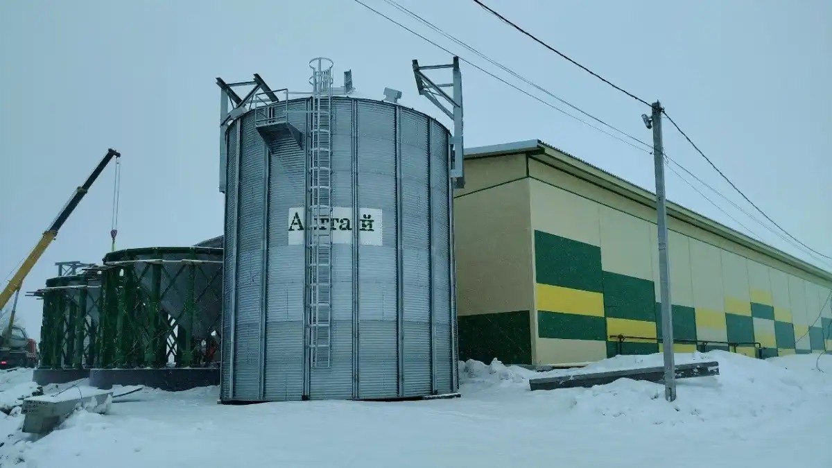 Новый завод по переработке масличных появится в Новосибирской области На базе ООО Альянс в Куйбышевском районе Новосибирской области идет строительство нового завода по переработке масличных культур Подробности