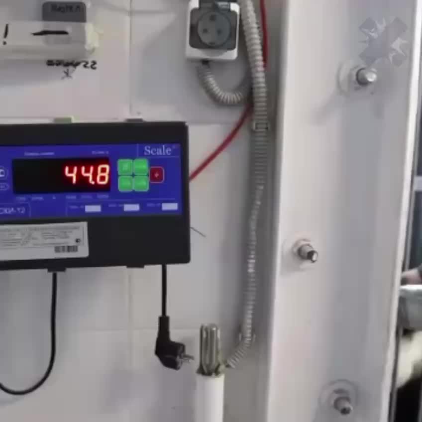 Панда Катюша из Московского зоопарка весит более 80 кг и успешно проходит тренировки