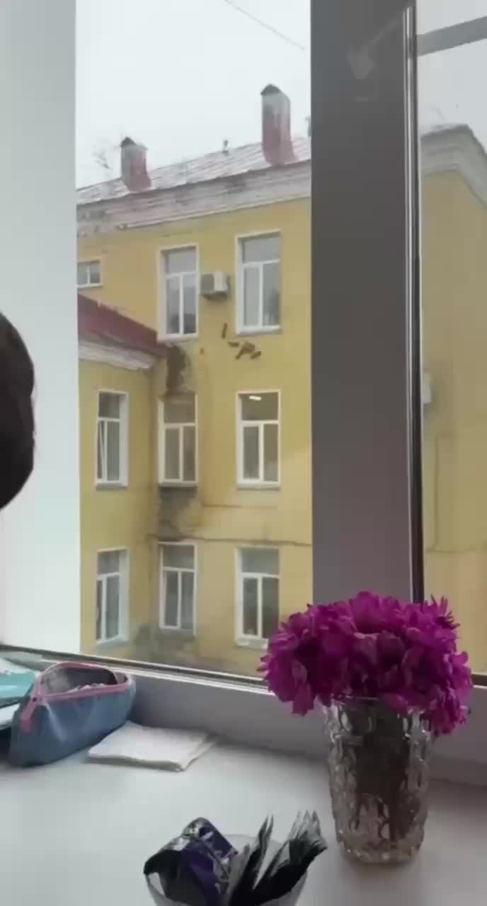 Белка с бельчатами посетила роддом в Кирове
