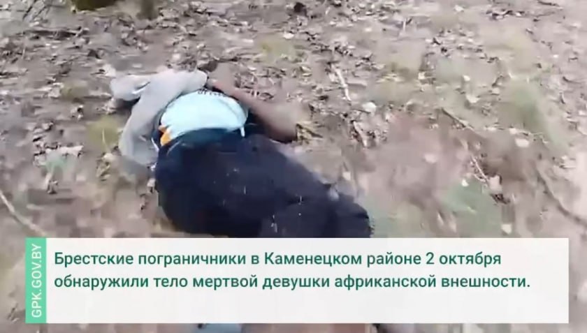 Трагедия на белорусско польской границе найдено тело иностранки Брестские пограничники обнаружили тело женщины иностранки в Каменецком районе недалеко от польского пограничного забора сообщили в Государственном пограничном комитете Беларуси Для выяснения обстоятельств на место выехала следственно оперативная группа По данным ГПК с начала 2025 года из за европейской миграционной политики на границе погибло 15 человек С 2021 года на западных границах Беларуси найдено 76 тел иностранных граждан Беларусь Польша Граница МиграционнаяПолитика Трагедия Пограничники КаменецкийРайон ГПК Миграция Европа ПраваЧеловека Расследование VK Instagram TikTok ZhivetZheBelarus
