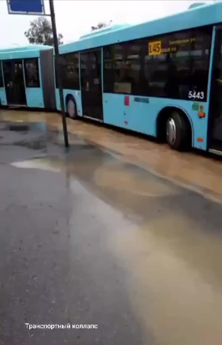 Прорыв водопровода в Красном Селе вызвал остановку автобусного движения