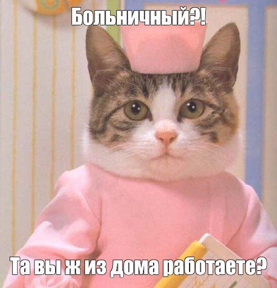 Председатель комитета Госдумы по труду соцполитике и делам ветеранов Ярослав Нилов предложил чтобы работники имели право отказаться от оформления больничного если их заболевание или травма позволяют работать удаленно Мое предложение это в обязательном порядке перед тем как оформить электронный больничный брать согласие на оформление больничного Если согласия нет в этом случае сам гражданин несет ответственность По закону больному предоставляется услуга по лечению Соответственно он может отказаться отметил Нилов