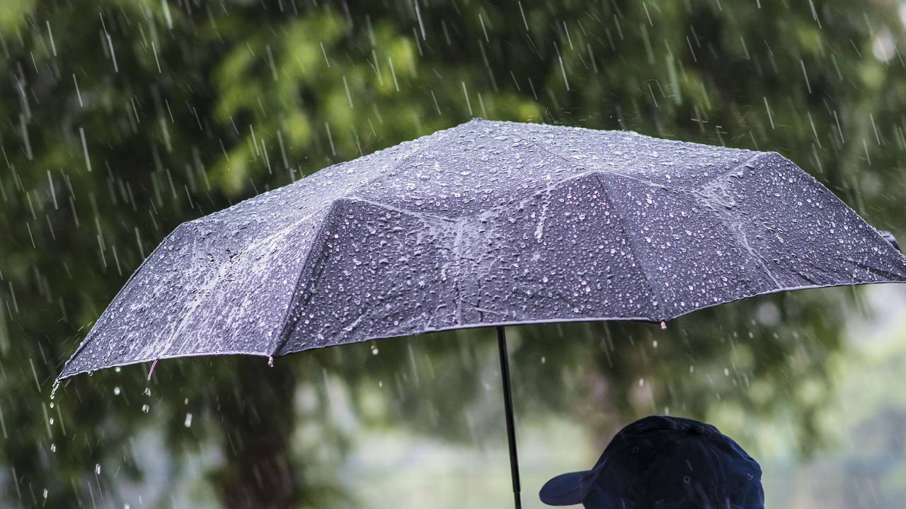 Узбекистан завтра накроет влажный фронт будут дожди и снег По прогнозу Узгидромета 4 декабря в Ташкенте и почти во всех регионах страны ожидаются осадки и усиление ветра Местами будет снег Ожидаются туман мокрый снег и ухудшение ситуации на дорогах водителям стоит быть предельно осторожными Подпишитесь и следите за актуальными новостями на нашем канале telegram me joinchat AAAAAEEdc qam7052mnXKA