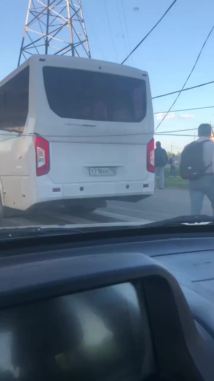 В Подольске фонарный столб упал на автобус