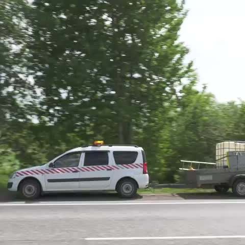 В Кировской области началась борьба с борщевиком вдоль автомобильных дорог