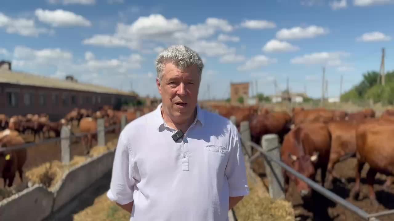 Первая племенная продажа телок в Запорожской области с 2022 года