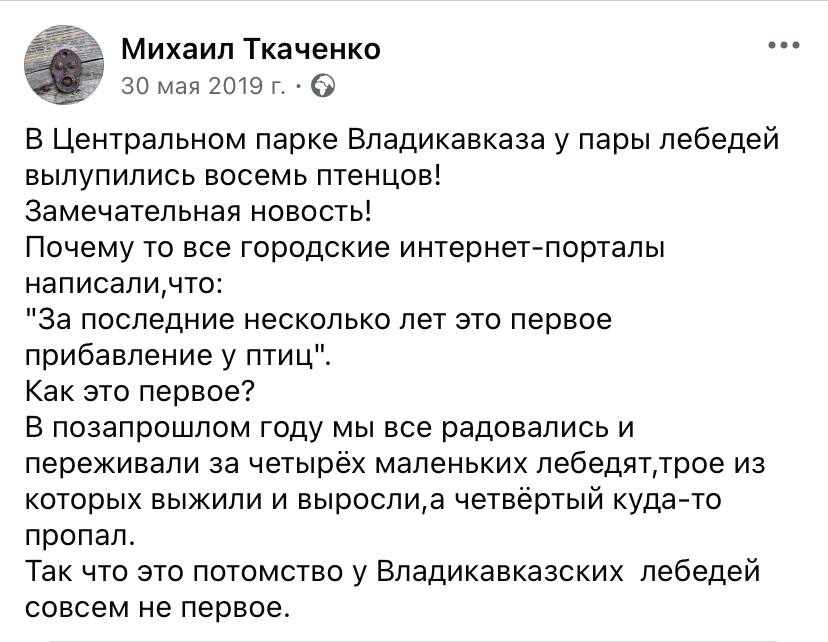 Многие местные телеграм-каналы пишут , что родившиеся вчера семь маленьких лебедей , это рекорд , типа такого большого количества у нас в парке ещё не рождалось. А вот и нет. Рекорд по рождаемости лебедей , был зафиксирован в мае 2019 года , тогда в нашем парке сразу родилось аж ВОСЕМЬ маленьких лебедяток!