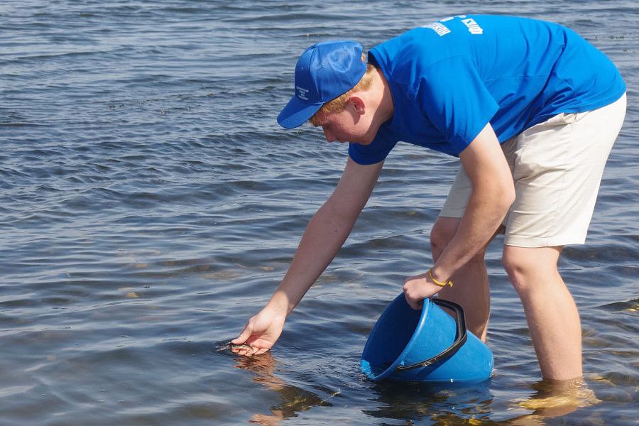 Более 13 миллионов молоди ценных видов рыб выпустили в водоемы Волгоградской области Это почти на миллион больше, чем в 2023 году.   В Волгу, Ахтубу, Дон выпустили порядка 2,5 млн молоди сазана, более 2,6 млн — толстолобика, порядка 5 млн — белого амура, 3,2 млн — осетра, 158 тыс. — стерляди.