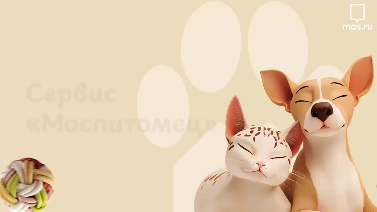 Сервис Моспитомец признан лучшим социальным проектом Рунета для помощи животным