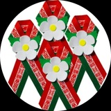 Калинковичи_новости