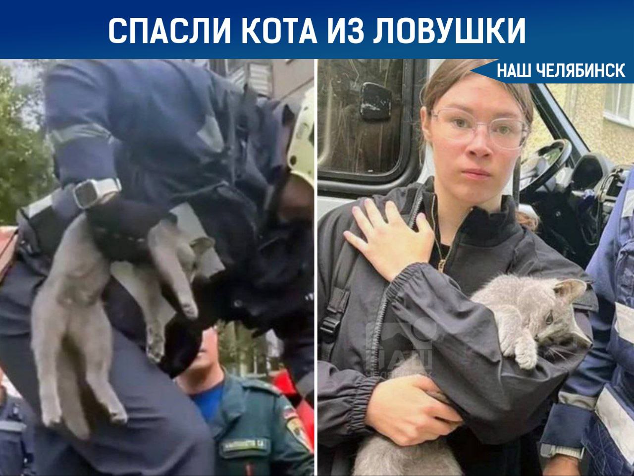 Челябинские спасатели сняли кота с пятого этажа Пушистый зверек застрял в ловушке между оконной рамой и козырьком на высоте пятого этажа Он провёл в заточении два дня О его бедственном положении сообщили соседи которые и вызвали спасателей Прибывшие на место сотрудники МЧС с помощью пожарной лестницы поднялись к животному освободили его и благополучно передали хозяевам Наш Челябинск новости без лапши Подпишись