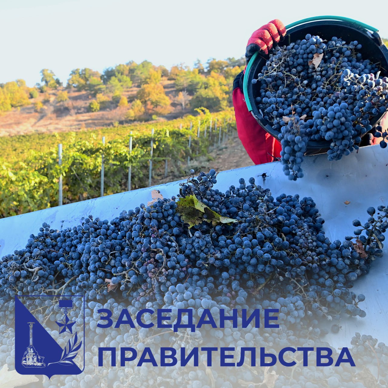Михаил Развожаев: Молодые специалисты, трудоустроившиеся в организациях агропромышленного комплекса Севастополя, будут получать единовременные выплаты. Соответствующее постановление приняли на заседании городского правительства. Выплаты смогут получить молодые специалисты — люди в возрасте до 35 лет, которые в течение трех лет после окончания вуза, колледжа или техникума были приняты на работу в организации сферы АПК. Размер выплаты составит: 250 тысяч рублей — для специалистов, получивших высшее образование; 200 тысяч рублей — для специалистов, получивших среднее профессиональное образование. Специалист, претендующий на единовременную выплату, должен будет отработать на предприятии три года. Информация о начале приема документов будет размещена на сайте департамента сельского хозяйства и потребительского рынка Севастополя.
