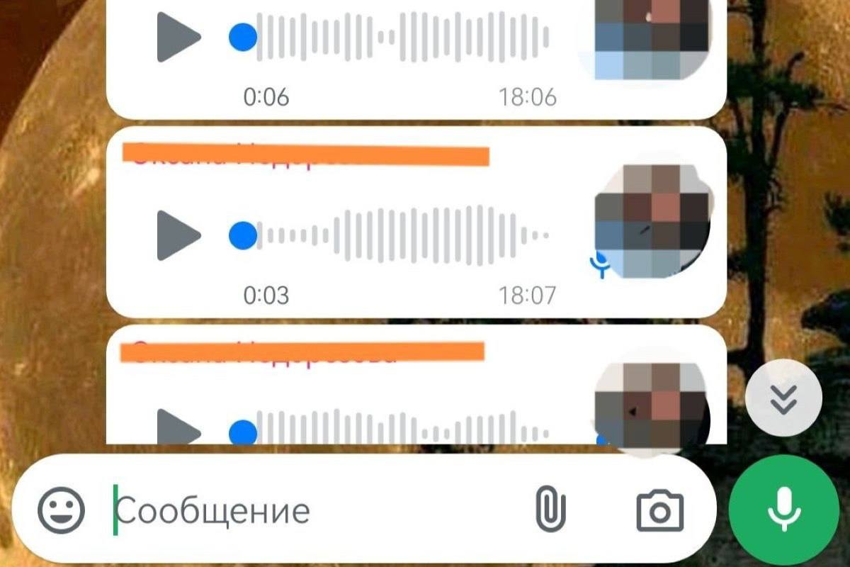 За экстремистские сообщения в мессенджере амурчанин получил условный срок Мужчина создал группу, в которой разместил прямые призывы к убийству представителей одной из славянских национальностей. Его наказали условным сроком на два года — у амурчанина под опекой четыре несовершеннолетних ребенка и престарелая больная мать. На время наказания ему запрещено администрировать сайты и создавать аккаунты в соцсетях.