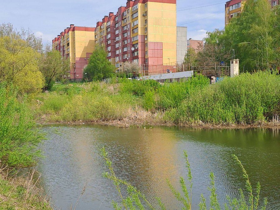 Сквер с озером на Студенческой в Курске благоустроят. Снова. За контракт с начальной ценой в 43 миллиона 170 тысяч рублей боролись три компании. Победила фирма, предложившая 41 миллион 443 тысячи. До 30 октября подрядчик должен будет углубить дно озера, убрать сорняки, а вместо них высадить шаровидные ивы, берёзы, пирамидальные тополя и краснолистную черемуху. Также по контракту придется сделать освещение, создать живую изгородь из дерена белого, калины, чубушника, девичьего винограда и разбить клумбы с многолетниками напрмиер, ирисами и лилиями . Вокруг водоема поставят скамейки, урны, детские игровые комплексы и грот с водопереливом из бутового камня. История с этим сквером длится много лет. Более того, его уже неоднократно благоустраивали. Во всяком случае, тендеры проводили. В 2016 году конкурс выиграла компания «ПС-81», которая согласилась выполнить работы за 4 миллиона рублей. В 2017 году снова объявили тендер с начальной ценой в 5 миллионов рублей. Победило ООО «Пилат», сбившее цену до 3 625 000 рублей. В 2021 году и 2023 годах в озеро на Студенческой даже запускали карасей, карпов, окуней и плотву. ПОДПИСАТЬСЯ ПРЕДЛОЖИТЬ НОВОСТЬ