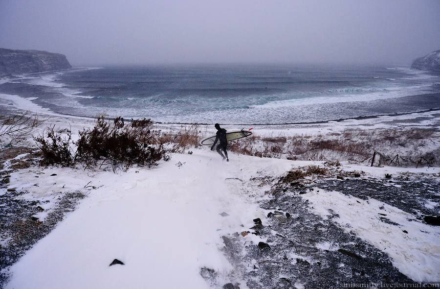 Во Владивостоке на Русском острове обнаружили тело утонувшего 26 летнего дайвера Тело дайвера 2000 года рождения было обнаружено в бухте Иванцова Из воды его извлекли очевидцы сообщает пресс служба ГУ МЧС России по Приморскому краю Подпишись на ПРИМОРЬЕ LIVE