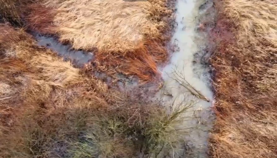 В регионе началась расчистка рек и озёр В Калининградской области в этом году приводят в порядок сразу несколько водоёмов Как сообщил губернатор региона Алексей Беспрозванных работы уже начались на реке Товарной в Калининграде и Гурьевском районе Также очистят два участка Верхнего озера в областном центре реку Стоговку Железнодорожную в Правдинском районе и часть Деймы в Полесске у замка Лабиау На Товарной планируют расчистить более 13 километров русла Река долгое время считалась проблемной специалисты нашли 77 незаконных выпусков их уже начали устранять С наступлением тепла уберут донные отложения и завалы чтобы восстановить естественное состояние водоёма Работы идут в рамках нацпроекта Экологическое благополучие При этом власти напоминают многое зависит и от жителей важно не оставлять мусор на берегах и убирать за собой после отдыха Сейчас готовятся проекты по расчистке рек Мамоновка Витушка Корневка ручья Парковый и других водотоков региона Отдельно продолжат исследовать реки в Советске это почти 67 километров На фото река Товарная Видео облёта реки смотрите в нашем канале в Max