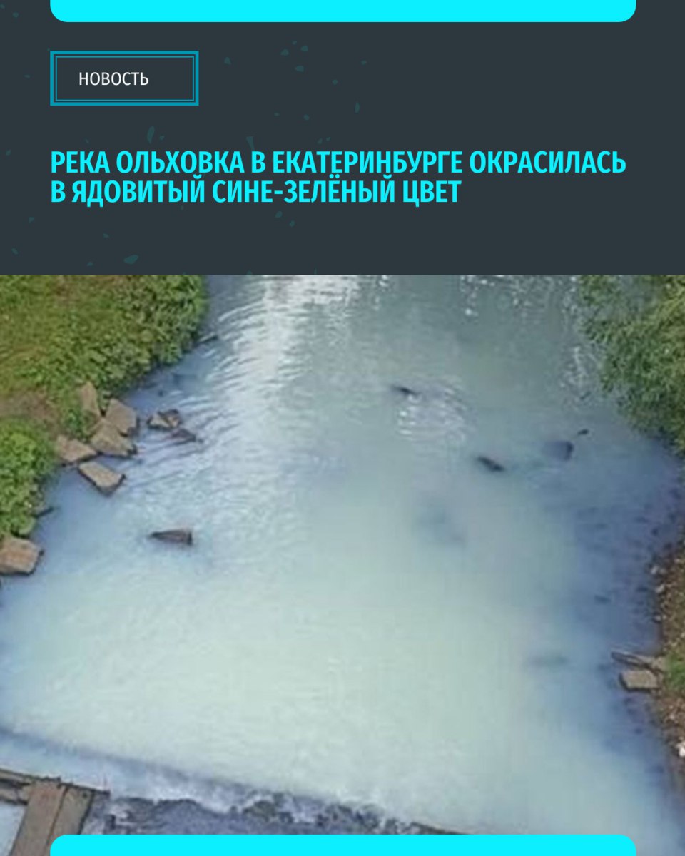В Екатеринбурге река Ольховка которая является притоком Исети резко окрасилась в ядовитый бело сине зелёный цвет Об этом сообщили в соцсетях местные жители Горожане предполагают что в реку произвели сброс неизвестной жидкости По словам жильцов ЖК Ольховский парк подобные случаи когда в водоем попадают химические вещества или отходы происходят не впервые Администрация сообщила о начале проверки силами экспертов Фото ТГ канал Злой Екатеринбург Подписывайся на ИА Уральский меридиан