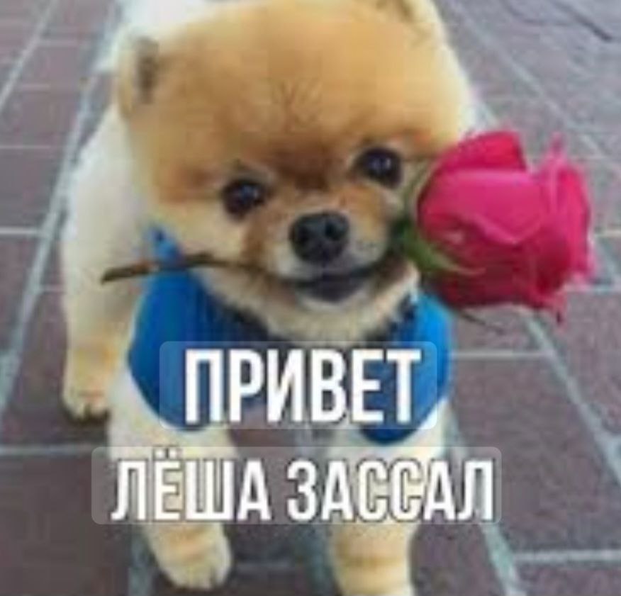 "Андерлехт" боится ехать в Тирасполь Бельгийский клуб добился переноса ответного матча первый они выиграли со счетом 3:0 третьего раунда Лиги конференций против "Шерифа" из Тирасполя в Кишинёв. Решение принято из-за того, что Тирасполь находится в зоне повышенного риска из-за военных действий на Украине. Дескать, вдруг ракета в стадион попадет... А мы тут играем в футбик.