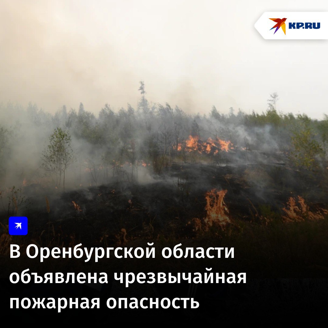 В Оренбургской области объявили чрезвычайную пожарную опасность на 11 июня - 5 класс. Об этом сообщают в региональном Департаменте пожарной безопасности и гражданской защиты. ‼ Напомним, на 11 июня синоптики спрогнозировали в регионе дожди с грозой и жару до +32 градусов. Граждан призывают сохранять бдительность и осторожность.