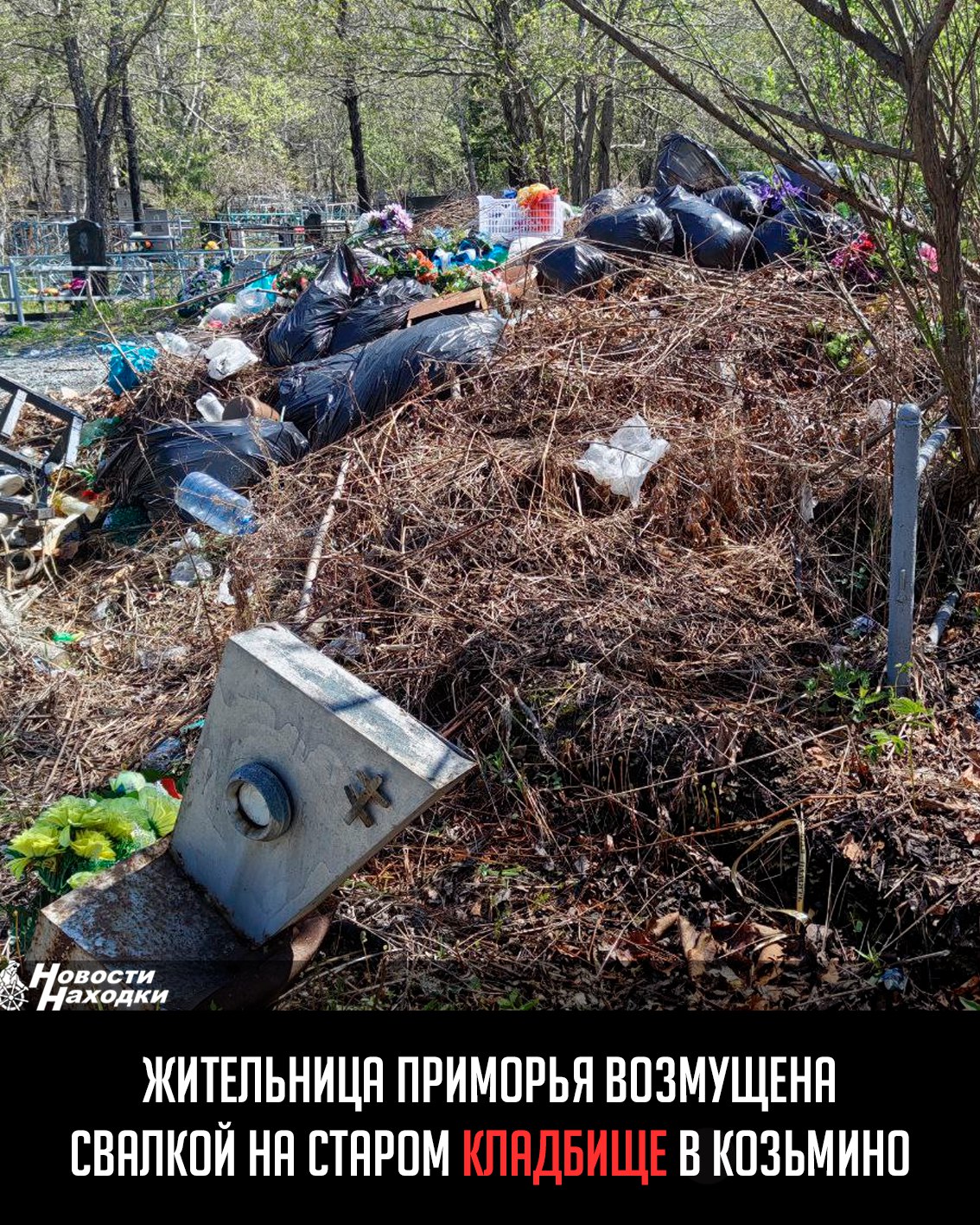 Жительница Приморья обратилась в администрацию города Находки с жалобой на антисанитарное состояние старого кладбища в посёлке Козьмино. Приехав с семьёй из Артёма, женщина обнаружила груды мусора прямо на памятниках и вокруг оградок. По её словам, отходы скопились в таком количестве, что один из памятников уже начал разрушаться. Горожанка требует срочно вывезти мусор и навести порядок на территории. Вопрос направлен властям — кто отвечает за содержание кладбища и когда его приведут в порядок? Фото подтверждают критическую ситуацию.